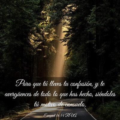 Picture 03 - Ezequiel 16:54 RVA - Para que tú lleves tu confusión, y te - Bible Verse Picture
