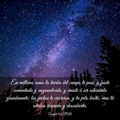 Picture 03 - Ezequiel 16:7 RVA - En millares como la hierba del campo te puse, y - Bible Verse Picture