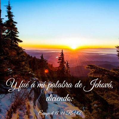 Picture 03 - Ezequiel 17:11 RVA - Y fué á mí palabra de Jehová, - Bible Verse Picture