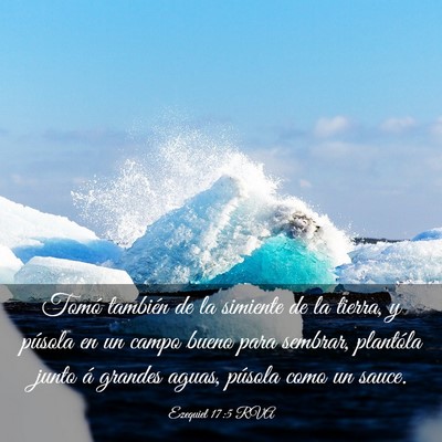 Picture 03 - Ezequiel 17:5 RVA - Tomó también de la simiente de la tierra, y - Bible Verse Picture