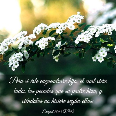 Picture 03 - Ezequiel 18:14 RVA - Pero si éste engrendrare hijo, el cual viere - Bible Verse Picture