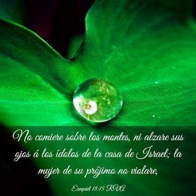 Picture 03 - Ezequiel 18:15 RVA - No comiere sobre los montes, ni alzare sus ojos - Bible Verse Picture