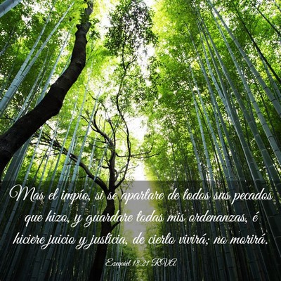 Picture 03 - Ezequiel 18:21 RVA - Mas el impío, si se apartare de todos sus - Bible Verse Picture
