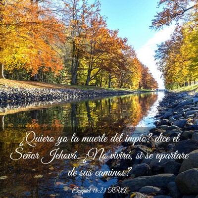 Picture 03 - Ezequiel 18:23 RVA - ¿Quiero yo la muerte del impío? dice el Señor - Bible Verse Picture