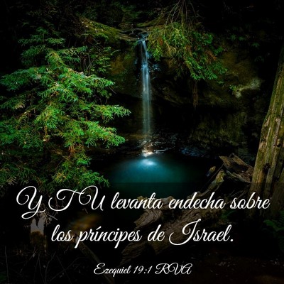 Picture 03 - Ezequiel 19:1 RVA - Y TU levanta endecha sobre los príncipes de - Bible Verse Picture