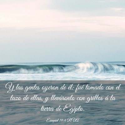 Picture 03 - Ezequiel 19:4 RVA - Y las gentes oyeron de él: fué tomado con el - Bible Verse Picture