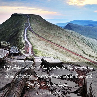 Picture 03 - Ezequiel 19:8 RVA - Y dieron sobre él las gentes de las provincias - Bible Verse Picture
