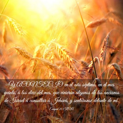 Picture 03 - Ezequiel 20:1 RVA - Y ACONTECIO en el año séptimo, en el mes - Bible Verse Picture