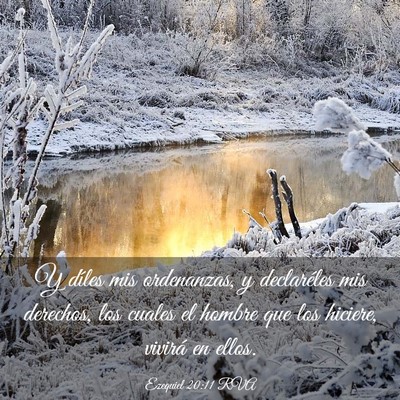 Picture 03 - Ezequiel 20:11 RVA - Y díles mis ordenanzas, y declaréles mis - Bible Verse Picture