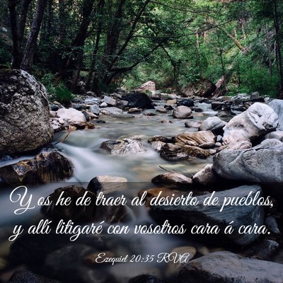 Picture 03 - Ezequiel 20:35 RVA - Y os he de traer al desierto de pueblos, y allí - Bible Verse Picture