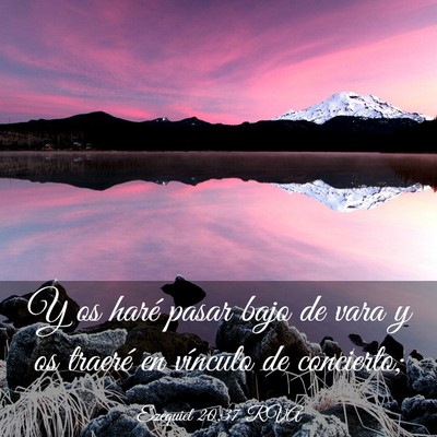 Picture 03 - Ezequiel 20:37 RVA - Y os haré pasar bajo de vara y os traeré en - Bible Verse Picture