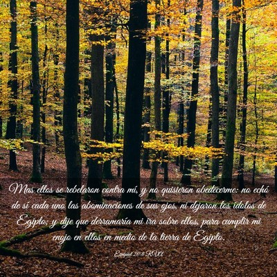 Picture 03 - Ezequiel 20:8 RVA - Mas ellos se rebelaron contra mí, y no quisieron - Bible Verse Picture