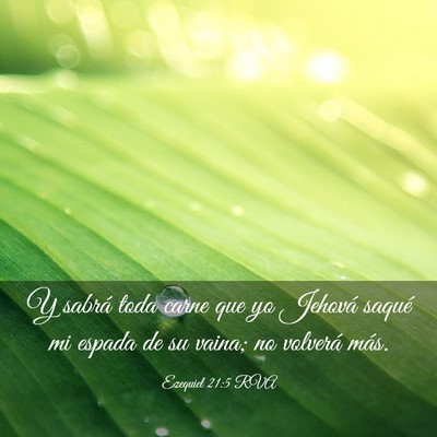Picture 03 - Ezequiel 21:5 RVA - Y sabrá toda carne que yo Jehová saqué mi - Bible Verse Picture