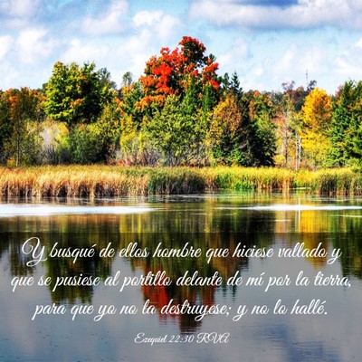 Picture 03 - Ezequiel 22:30 RVA - Y busqué de ellos hombre que hiciese vallado y - Bible Verse Picture