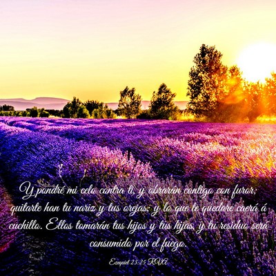 Picture 03 - Ezequiel 23:25 RVA - Y pondré mi celo contra ti, y obrarán contigo - Bible Verse Picture