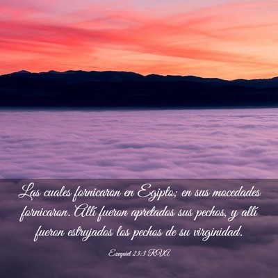 Picture 03 - Ezequiel 23:3 RVA - Las cuales fornicaron en Egipto; en sus mocedades - Bible Verse Picture