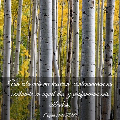 Picture 03 - Ezequiel 23:38 RVA - Aun esto más me hicieron: contaminaron mi - Bible Verse Picture