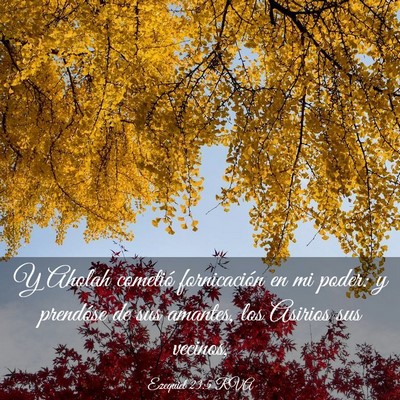 Picture 03 - Ezequiel 23:5 RVA - Y Aholah cometió fornicación en mi poder: y - Bible Verse Picture