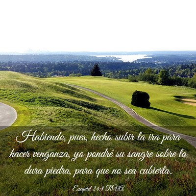 Picture 03 - Ezequiel 24:8 RVA - Habiendo, pues, hecho subir la ira para hacer - Bible Verse Picture