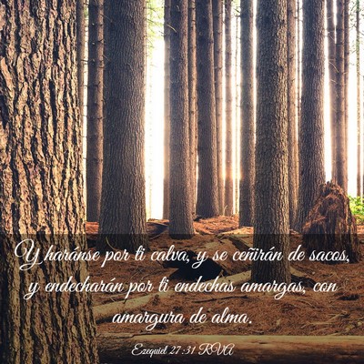 Picture 03 - Ezequiel 27:31 RVA - Y haránse por ti calva, y se ceñirán de sacos, - Bible Verse Picture
