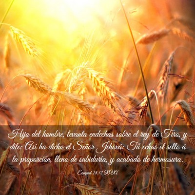 Picture 03 - Ezequiel 28:12 RVA - Hijo del hombre, levanta endechas sobre el rey de - Bible Verse Picture