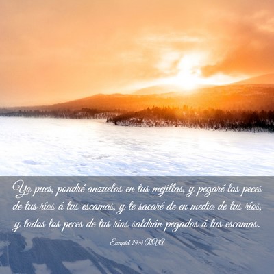 Picture 03 - Ezequiel 29:4 RVA - Yo pues, pondré anzuelos en tus mejillas, y - Bible Verse Picture