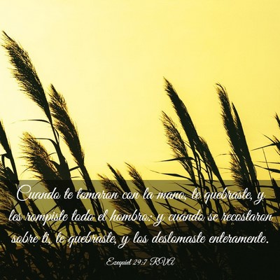 Picture 03 - Ezequiel 29:7 RVA - Cuando te tomaron con la mano, te quebraste, y - Bible Verse Picture