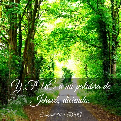 Picture 03 - Ezequiel 30:1 RVA - Y FUÉ á mí palabra de Jehová, - Bible Verse Picture