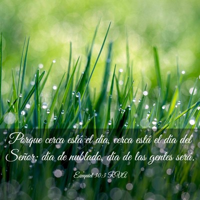 Picture 03 - Ezequiel 30:3 RVA - Porque cerca está el día, cerca está el día - Bible Verse Picture