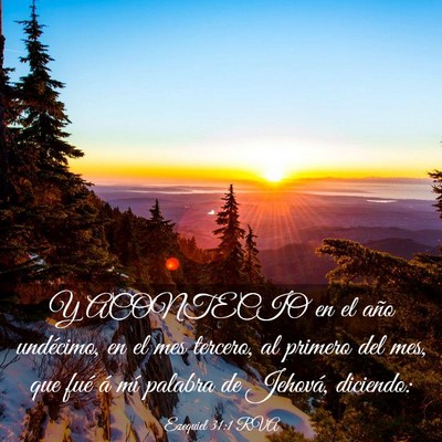 Picture 03 - Ezequiel 31:1 RVA - Y ACONTECIO en el año undécimo, en el mes - Bible Verse Picture