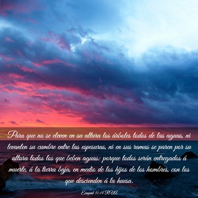 Picture 03 - Ezequiel 31:14 RVA - Para que no se eleven en su altura los árboles - Bible Verse Picture