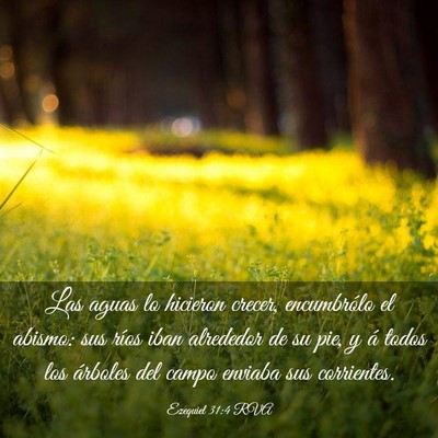 Picture 03 - Ezequiel 31:4 RVA - Las aguas lo hicieron crecer, encumbrólo el - Bible Verse Picture