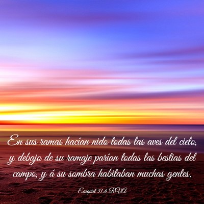 Picture 03 - Ezequiel 31:6 RVA - En sus ramas hacían nido todas las aves del - Bible Verse Picture