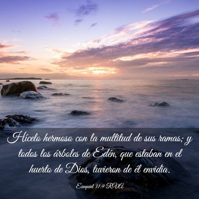 Picture 03 - Ezequiel 31:9 RVA - Hícelo hermoso con la multitud de sus ramas; y - Bible Verse Picture