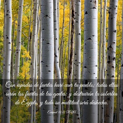 Picture 03 - Ezequiel 32:12 RVA - Con espadas de fuertes haré caer tu pueblo; - Bible Verse Picture