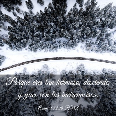Picture 03 - Ezequiel 32:19 RVA - Porque eres tan hermoso, desciende, y yace con - Bible Verse Picture