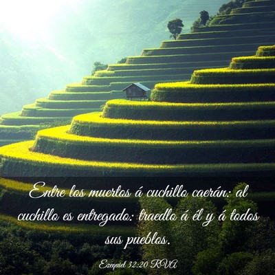 Picture 03 - Ezequiel 32:20 RVA - Entre los muertos á cuchillo caerán: al - Bible Verse Picture