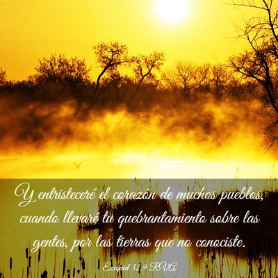 Picture 03 - Ezequiel 32:9 RVA - Y entristeceré el corazón de muchos pueblos, - Bible Verse Picture