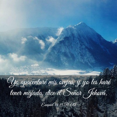 Picture 03 - Ezequiel 34:15 RVA - Yo apacentaré mis ovejas, y yo les haré tener - Bible Verse Picture
