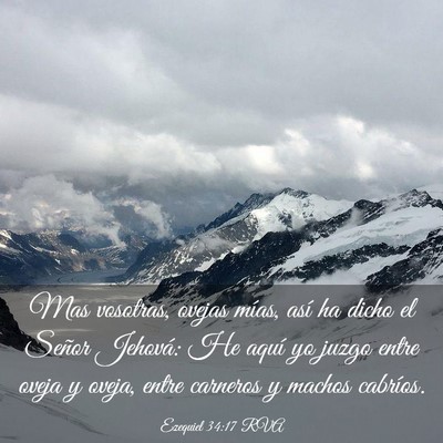 Picture 03 - Ezequiel 34:17 RVA - Mas vosotras, ovejas mías, así ha dicho el - Bible Verse Picture