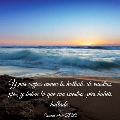 Picture 03 - Ezequiel 34:19 RVA - Y mis ovejas comen lo hollado de vuestros pies, y - Bible Verse Picture
