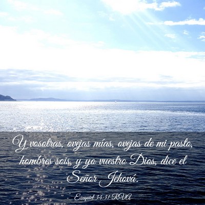 Picture 03 - Ezequiel 34:31 RVA - Y vosotras, ovejas mías, ovejas de mi pasto, - Bible Verse Picture