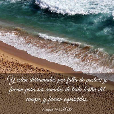 Picture 03 - Ezequiel 34:5 RVA - Y están derramadas por falta de pastor; y fueron - Bible Verse Picture