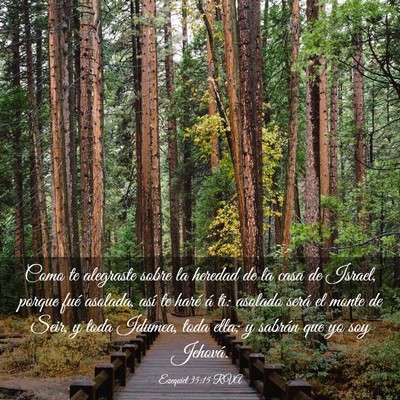 Picture 03 - Ezequiel 35:15 RVA - Como te alegraste sobre la heredad de la casa de - Bible Verse Picture
