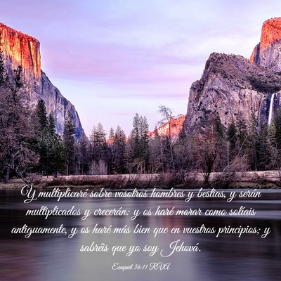Picture 03 - Ezequiel 36:11 RVA - Y multiplicaré sobre vosotros hombres y bestias, - Bible Verse Picture