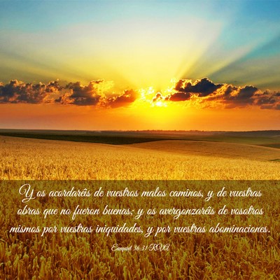 Picture 03 - Ezequiel 36:31 RVA - Y os acordaréis de vuestros malos caminos, y de - Bible Verse Picture