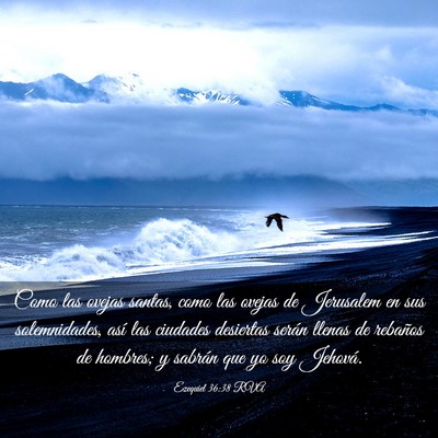 Picture 03 - Ezequiel 36:38 RVA - Como las ovejas santas, como las ovejas de - Bible Verse Picture