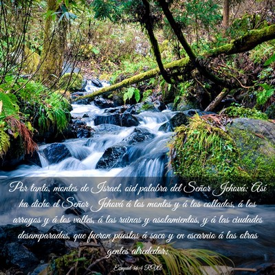Picture 03 - Ezequiel 36:4 RVA - Por tanto, montes de Israel, oid palabra del - Bible Verse Picture