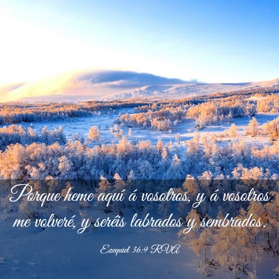 Picture 03 - Ezequiel 36:9 RVA - Porque heme aquí á vosotros, y á vosotros me - Bible Verse Picture