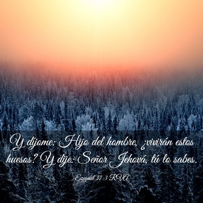 Picture 03 - Ezequiel 37:3 RVA - Y díjome: Hijo del hombre, ¿vivirán estos - Bible Verse Picture